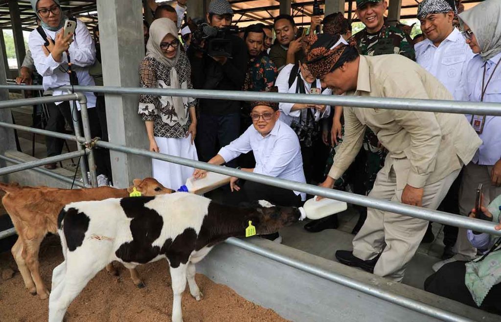 Pemprov Jatim Percepat Vaksinasi PMK untuk Kendalikan Penyebaran di 2025